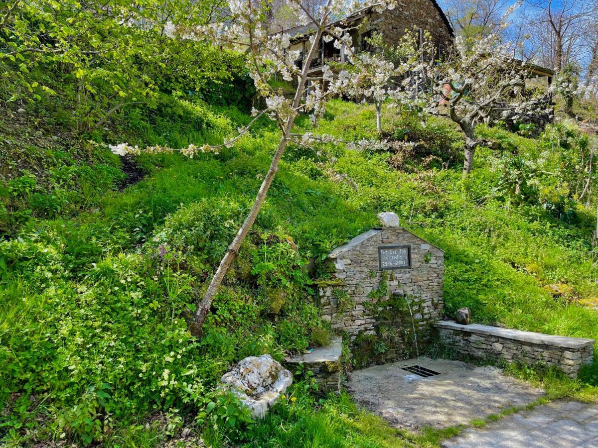Casa Folibar - Desconexion En Plena Naturaleza - Valle Del Silencio Manzanedo de Valdueza Dış mekan fotoğraf